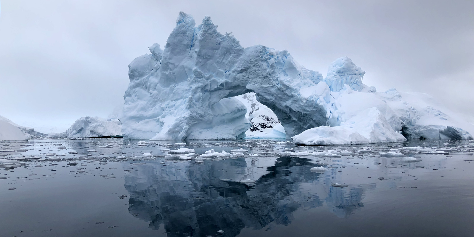 What a Dutch Ornithologist Taught Me About Easter in Antarctica ...